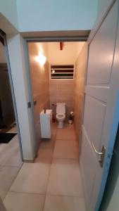 Baño pequeño con aseo y puerta en Appartement de 2 chambres avec piscine partagee balcon amenage et wifi a Sainte Anne a 6 km de la plage, en Le Moule