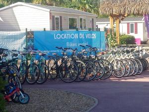 Cykling ved Bungalow Confortable à Fréjus avec Piscine Partagée eller i nærheden