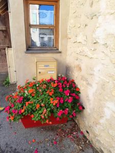 una caja de flores sentada junto a un edificio con flores en Maison de 2 chambres avec wifi a Chalo Saint Mars, en Châlo-Saint-Mars