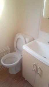 a bathroom with a white toilet and a sink at Bungalow de 3 chambres avec piscine partagee jardin amenage et wifi a Onzain in Onzain