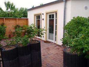 Κήπος έξω από το Kleiner Austernfischer +3 φωτογραφίες