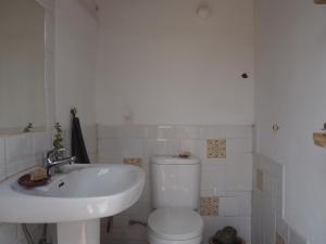 a bathroom with a white toilet and a sink at Teepee Barranco in Tindaya