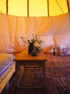 einen Tisch mit einer Pflanze in einem Zelt in der Unterkunft Teepee Barranco in Tindaya