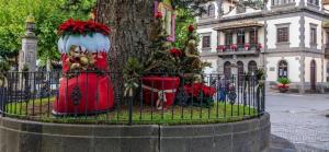 Vonkajšia záhrada v ubytovaní Casa Norb Teror