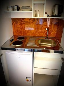 eine kleine Küche mit Spüle und Kühlschrank in der Unterkunft Apartment Renate in Oberasbach