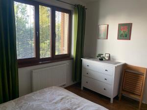 een slaapkamer met een bed, een dressoir en ramen bij Apartmán Lesníček in Stará Lesná