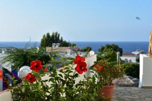 a group of red flowers on a white wall at Kasteli Studios & Apartments in Panormos Rethymno