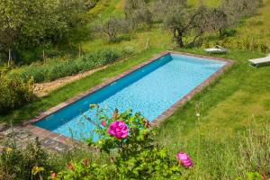 uma piscina num quintal com flores cor-de-rosa em Poderi in Chianti em Tavarnelle in Val di Pesa