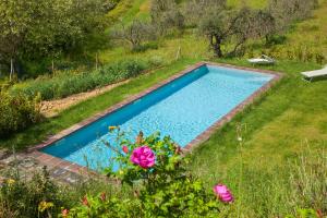 a swimming pool in a yard with pink flowers at Poderi in Chianti in Tavarnelle Val di Pesa