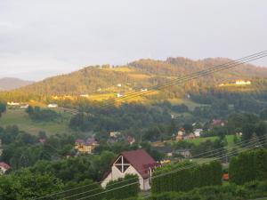 ヴィスワにあるAgroturystyka Na Dzielnicachの山のある村の景色