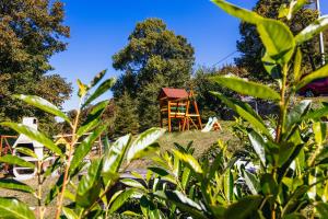 Fotografie z fotogalerie ubytování Holiday House Kate v destinaci Stolac