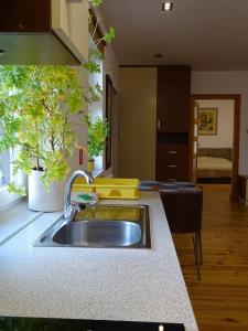 a kitchen with a sink and a counter top at Apartamenty w Ustce in Ustka