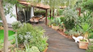 a garden with a wooden deck with plants at Olives in Arad