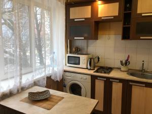 キーウにあるKyiv Apartment on Peremohy Avenue 16 daily rentのキッチン(電子レンジ、洗濯機付)