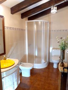Un baño con ducha, inodoro y lavabo. en Spacious house with mountain view in Ivanrey, en Ciudad Rodrigo