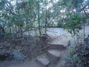 um caminho sujo numa floresta com árvores em Camping Terra do Nunca em Alto Paraíso de Goiás