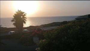 een zonsondergang boven de oceaan met een palmboom bij Perla Nera I DAMMUSI DI SCAURI in Pantelleria