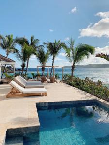 - une piscine bordée de palmiers à côté de l'océan dans l'établissement VILLA OYONO THE CARRIBEAN DREAM, à Saint Barthelemy