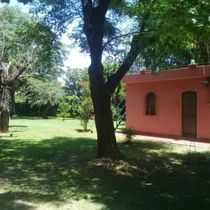 a tree in a yard next to a building at Posada Don Salvador in San Antonio de Areco