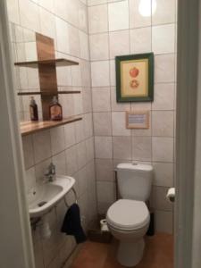 ein Bad mit einem WC und einem Waschbecken in der Unterkunft Les Tournesols in Sariac-Magnoac