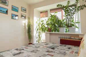 ハバロフスクにあるKimWay Apartmentの鉢植えの植物とテーブル、ベッド1台が備わるお部屋