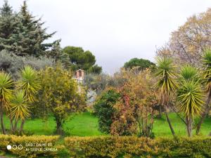 A garden outside Odori di zagara