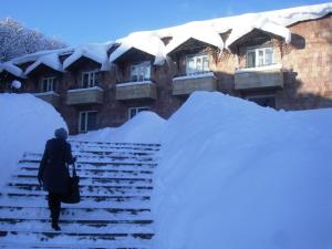 a woman walking up snow covered stairs in front of a building at Дом Писателей Цахкадзора in Tsaghkadzor