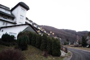 a house with a hedge in front of a road at Brzece Ski-Lift Apartments in Brzeće