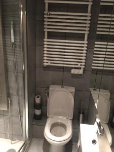 La petite salle de bains est pourvue d'une douche et de toilettes. dans l'établissement Appartement Courchevel le Praz, à Courchevel