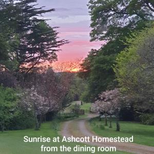 um nascer do sol em Ashott Homestead da sala de jantar em Ashcott Homestead Bed & Breakfast em Takapau