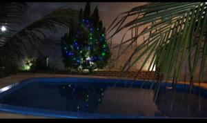 a christmas tree is sitting next to a swimming pool at Chalés da Boneca in Icapuí