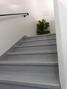 Fotografie z fotogalerie ubytování Apartmány Marie Jáchymov v destinaci Jáchymov