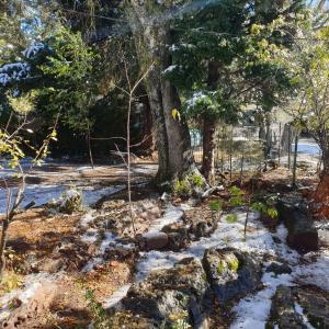 un paseo por el bosque con nieve y un árbol en Chalet ifrane, en Ifrane