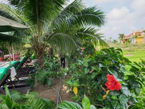 a garden with palm trees and a red flower at Hoi an Osaka Riverside Villa & Spa in Hoi An