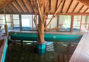 un albero al centro di una casa con acqua di Mirador Los Volcanes Lodge & Boutique a Pucón