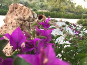 Vonkajšia záhrada v ubytovaní Alojamiento Rural Casa Fuente del Prado