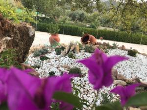 Vonkajšia záhrada v ubytovaní Alojamiento Rural Casa Fuente del Prado