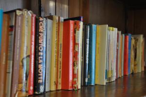 a row of books sitting on a shelf at Casa Alpina Dobbiaco in Dobbiaco