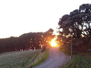 un camino de tierra con la puesta de sol en el fondo en Casa Chicua, en Sabanilla