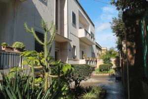 una casa con un cactus e delle piante davanti di Piazza Argento a Lecce