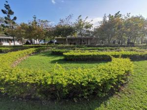 Zahrada ubytování 四重溪可以居民宿 Fine Inn