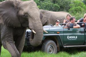 an elephant standing next to a vehicle with people at Kariega Game Reserve Main Lodge in Kenton on Sea
