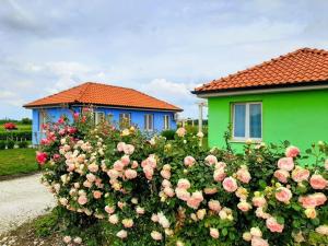 Gallery image of Termalna Rivijera Apartmani in Bogatić