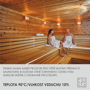 Gallery image of Wellness Hotel Svachovka in Český Krumlov