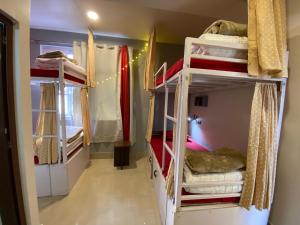 a room with a bunk bed and a ladder at Tag Along Backpackers in Gangtok