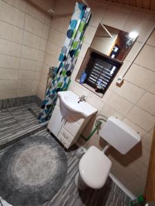a bathroom with a sink and a toilet and a mirror at Winter house Vlasic in Šišava