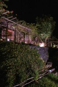 a night view of a garden with trees and plants at Ga281 in Funchal