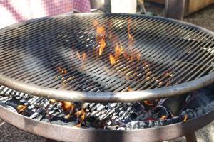 Una parrilla con un montón de comida. en Hotel Waldgasthof Buchenhain, en Baierbrunn