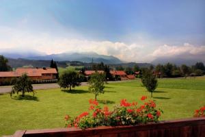 a green field with red flowers and mountains in the background at Berger-Hof in Grabenstätt