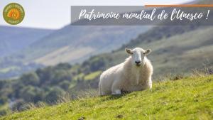 Photo de la galerie de l'établissement Alberguiere - Piscine chauffée - plancha - barbecue, à Pont de Ravagers